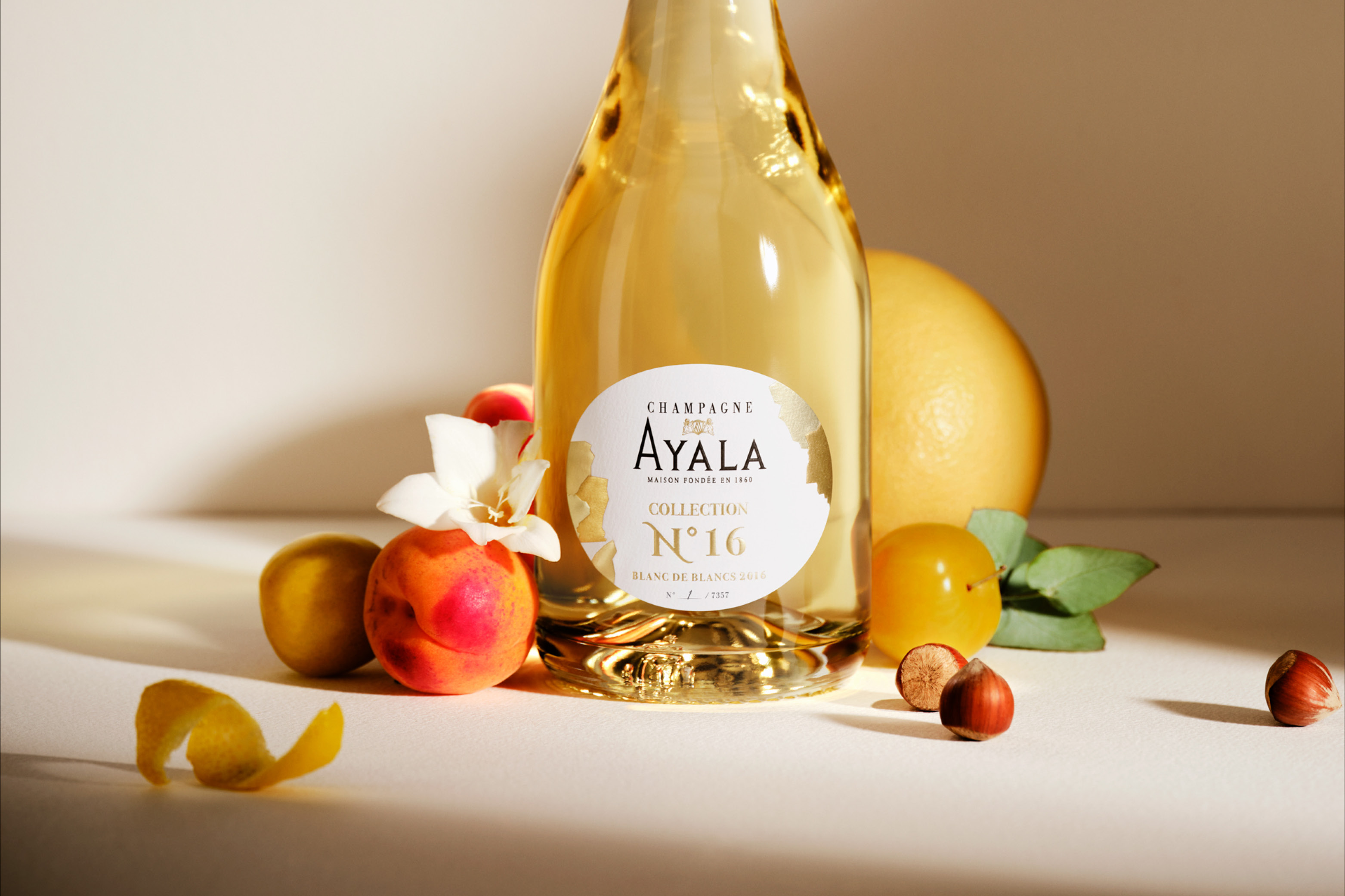 AYALA Collection N°16, Blanc de Blancs 2016 - Champagne Ayala