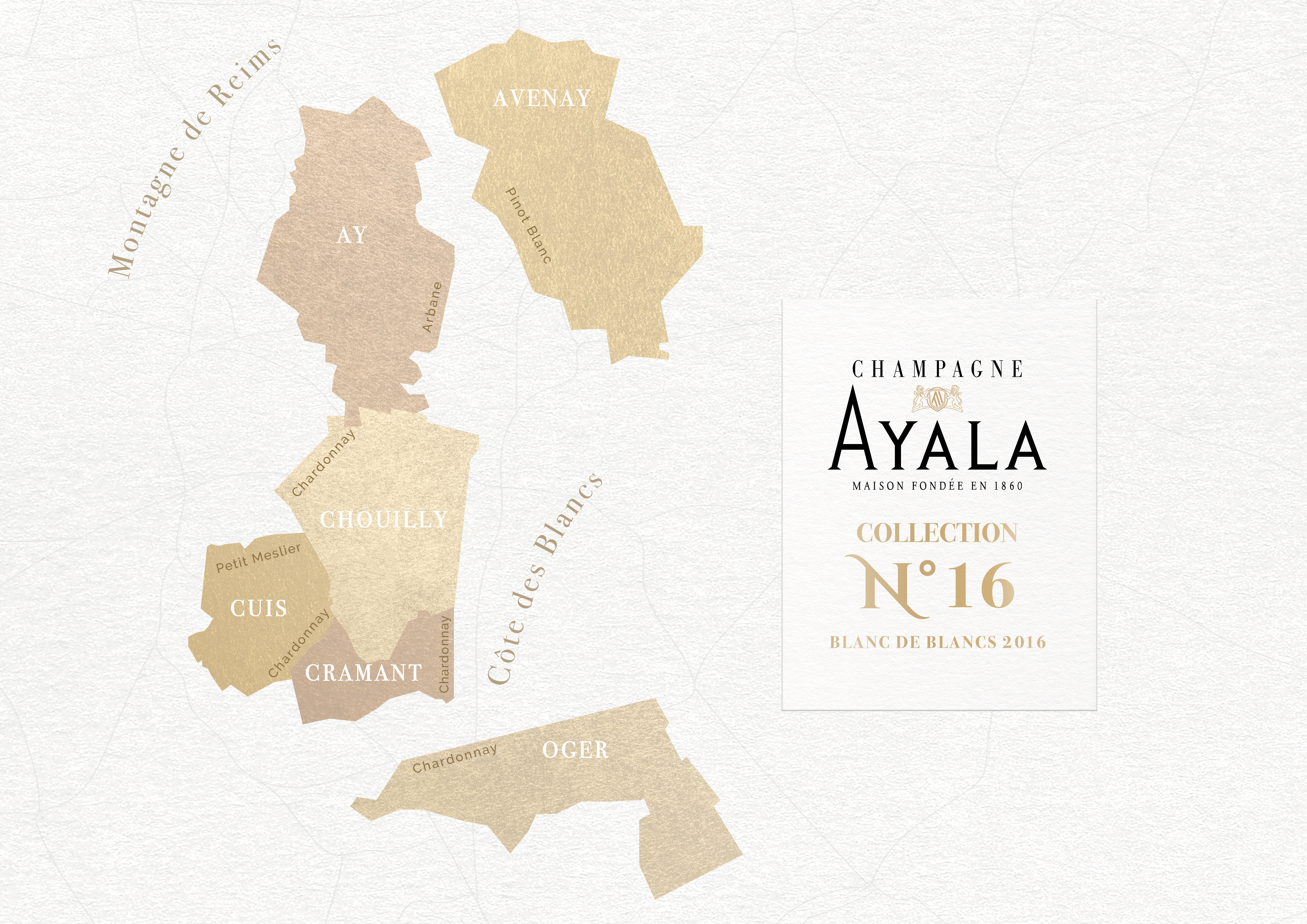 AYALA Collection N°16, Blanc de Blancs 2016 - Champagne Ayala