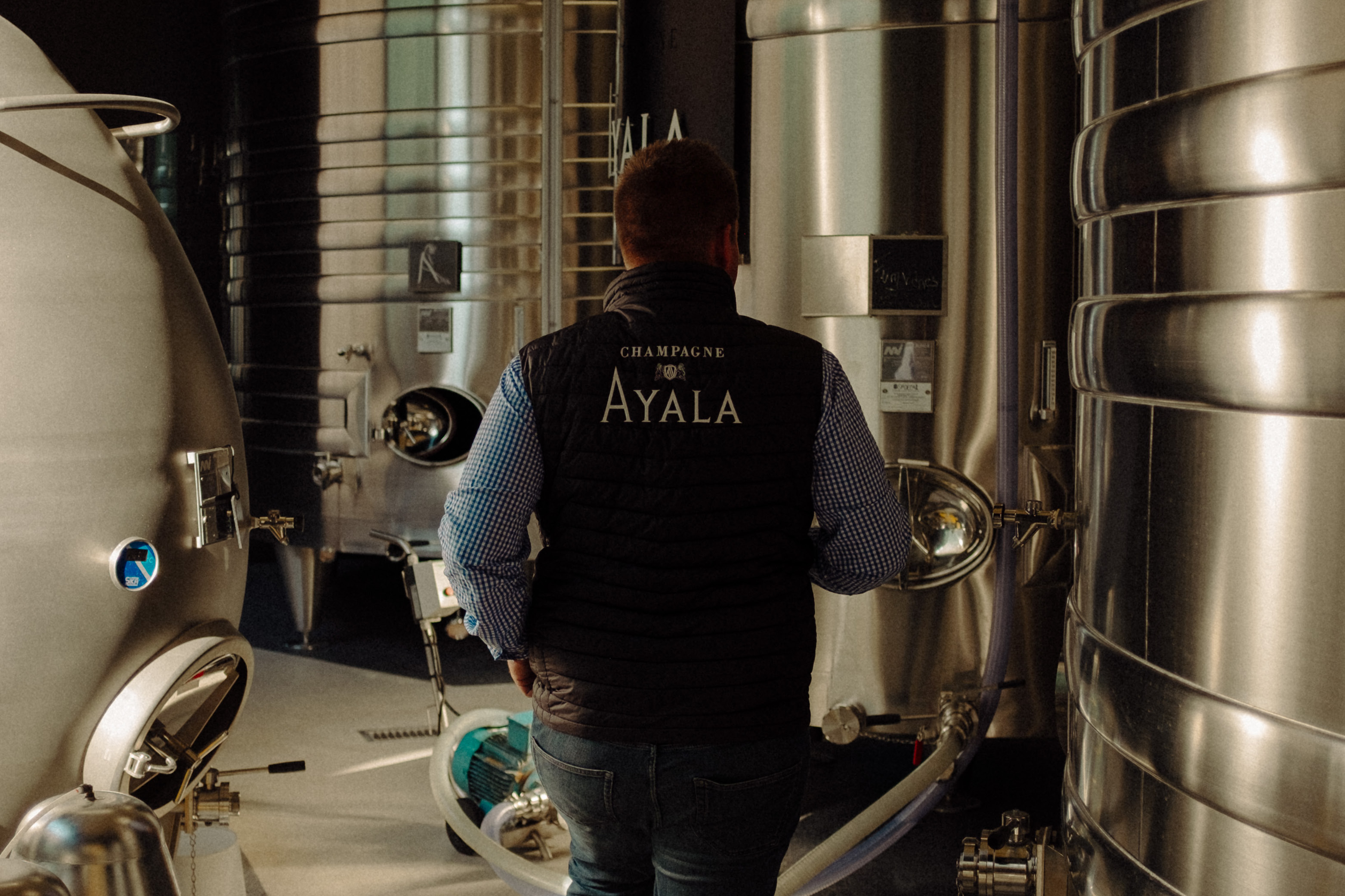 2024 Harvest Report - Champagne Ayala